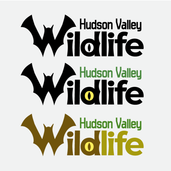 Hudson Valley Wildlife